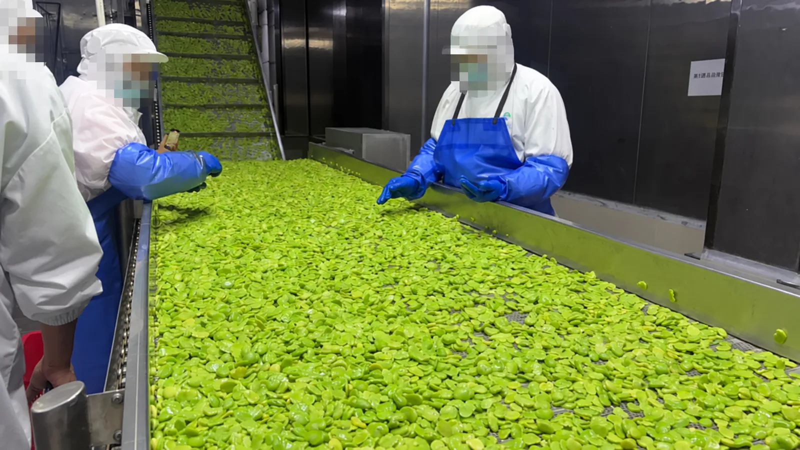 Workers at a food processing facility; people anonymised.
